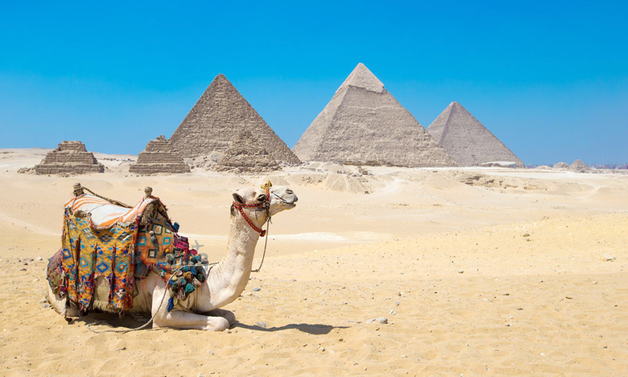 Egypt Visa Requirements: Everything You Need to Know Before Traveling in 2025